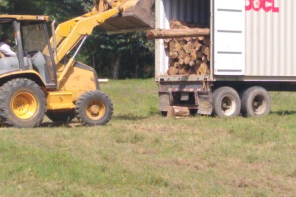 WhatsApp Image 2022-08-16 at 4.09.37 PM (1)