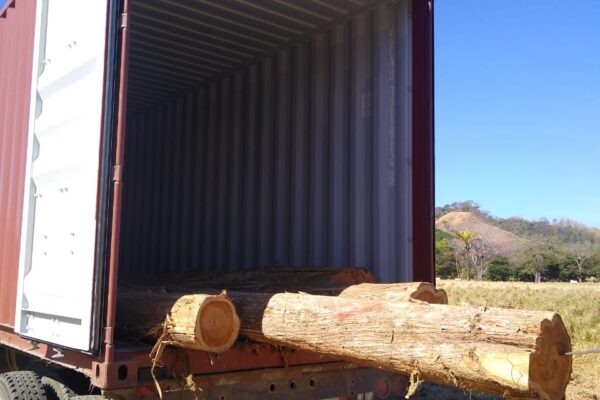 WhatsApp Image 2022-08-16 at 4.09.38 PM (1)