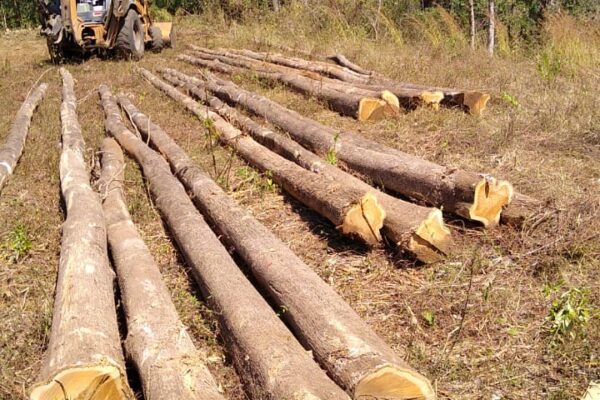 WhatsApp Image 2022-08-16 at 4.09.38 PM