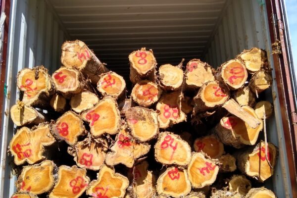 WhatsApp Image 2022-08-16 at 4.09.39 PM (3)