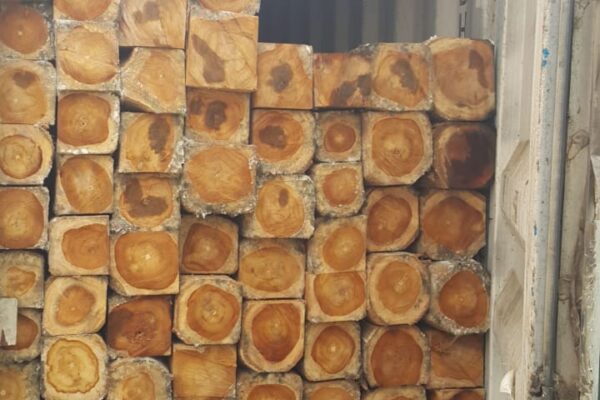 WhatsApp Image 2022-08-16 at 4.09.39 PM