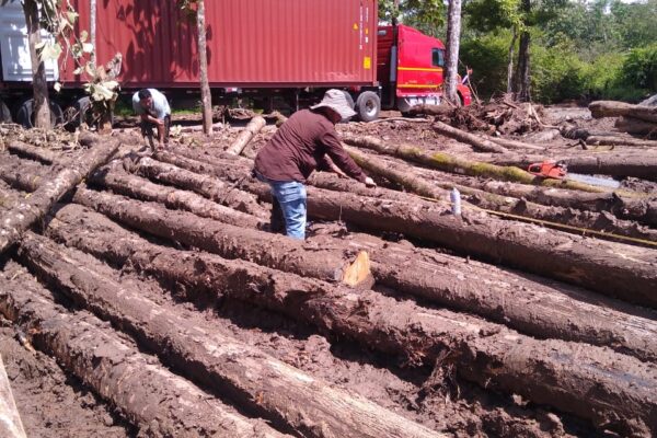 WhatsApp Image 2022-08-16 at 4.09.40 PM (1)