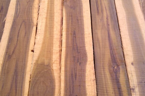 WhatsApp Image 2022-08-16 at 4.09.40 PM (3)