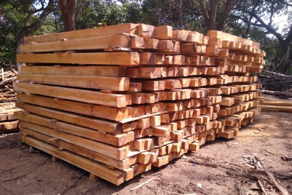 WhatsApp Image 2022-08-16 at 4.09.40 PM (4)