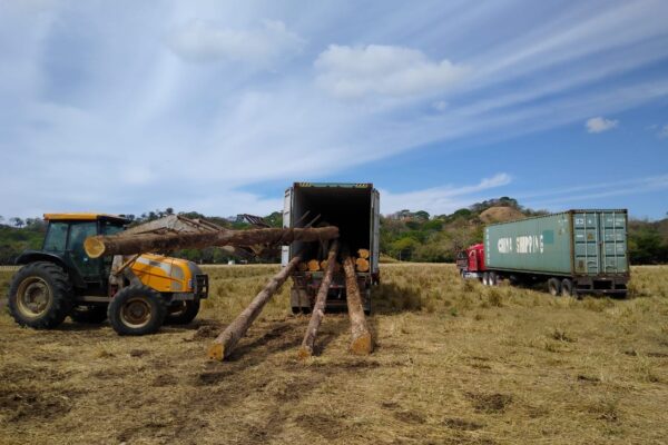 WhatsApp Image 2022-08-16 at 4.09.40 PM