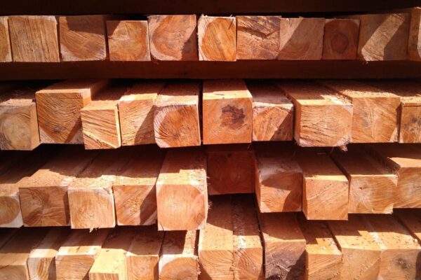 WhatsApp Image 2022-08-16 at 4.09.41 PM