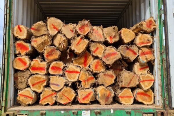 WhatsApp Image 2022-08-16 at 4.13.44 PM