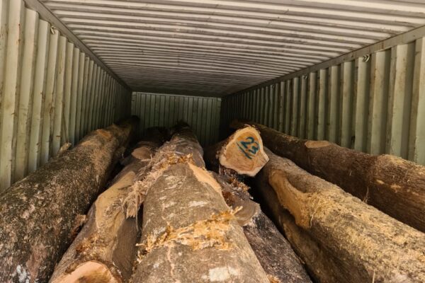 WhatsApp Image 2022-08-16 at 4.13.45 PM